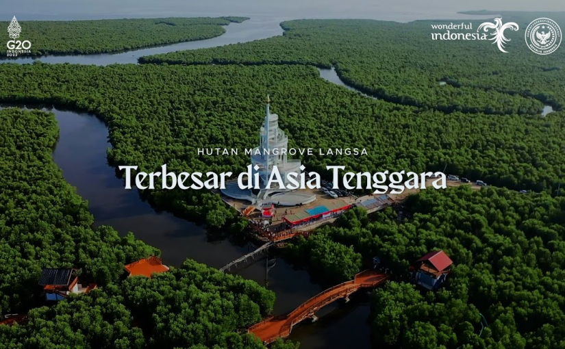 Spot Foto Hutan Mangrove Kota Langsa Terbaik