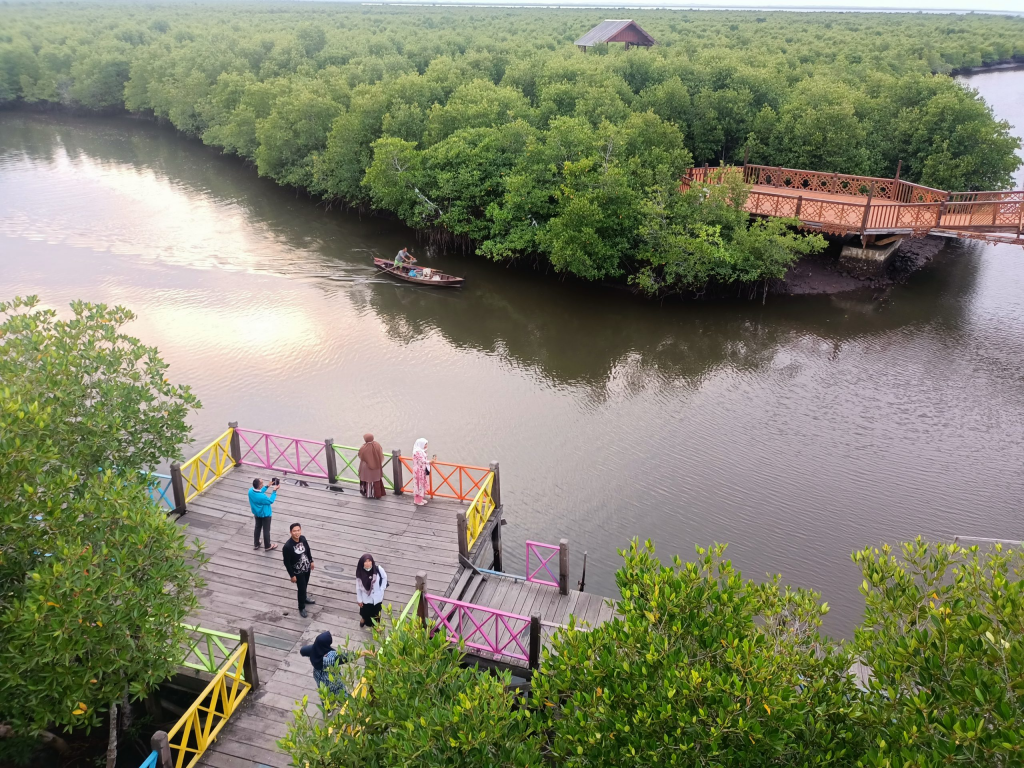 Spot Foto Hutan Mangrovepinggir sungai