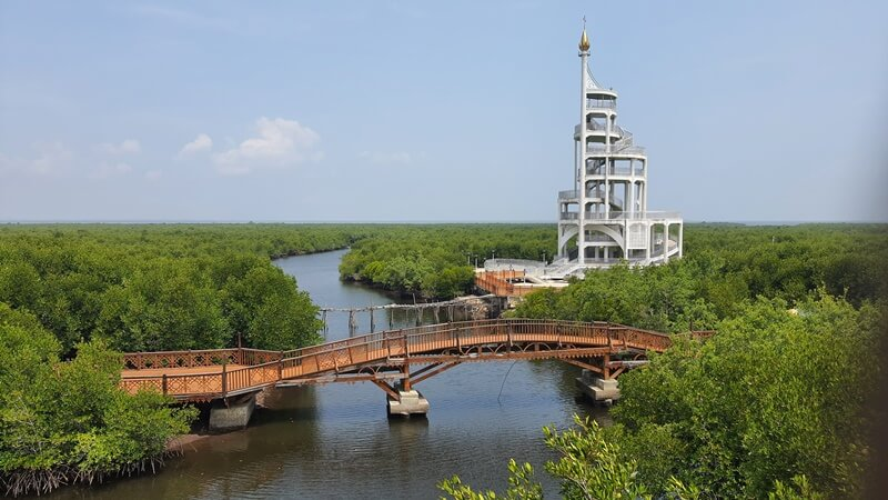 Spot Foto Hutan Mangrove Jembatan