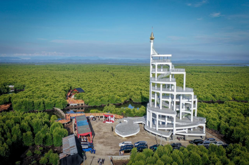 Spot Foto Hutan MangroveTower Mangrove forest